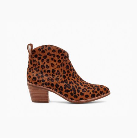 UGG Kingsburg Leopard - Boots Dame - Beige (NO-D390)